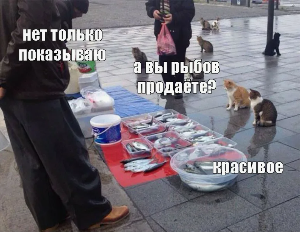 Почему сайт есть, а клиентов нет: поисковики не видят в нём бизнес